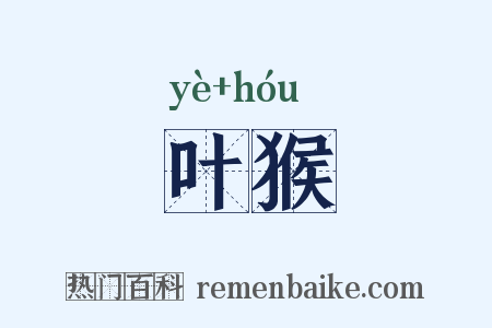 叶猴是什么意思的图片